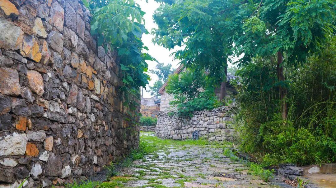 破“疤”成景，逐绿而行｜铜山柳泉北村：农文旅融合绘就乡村振兴新答卷