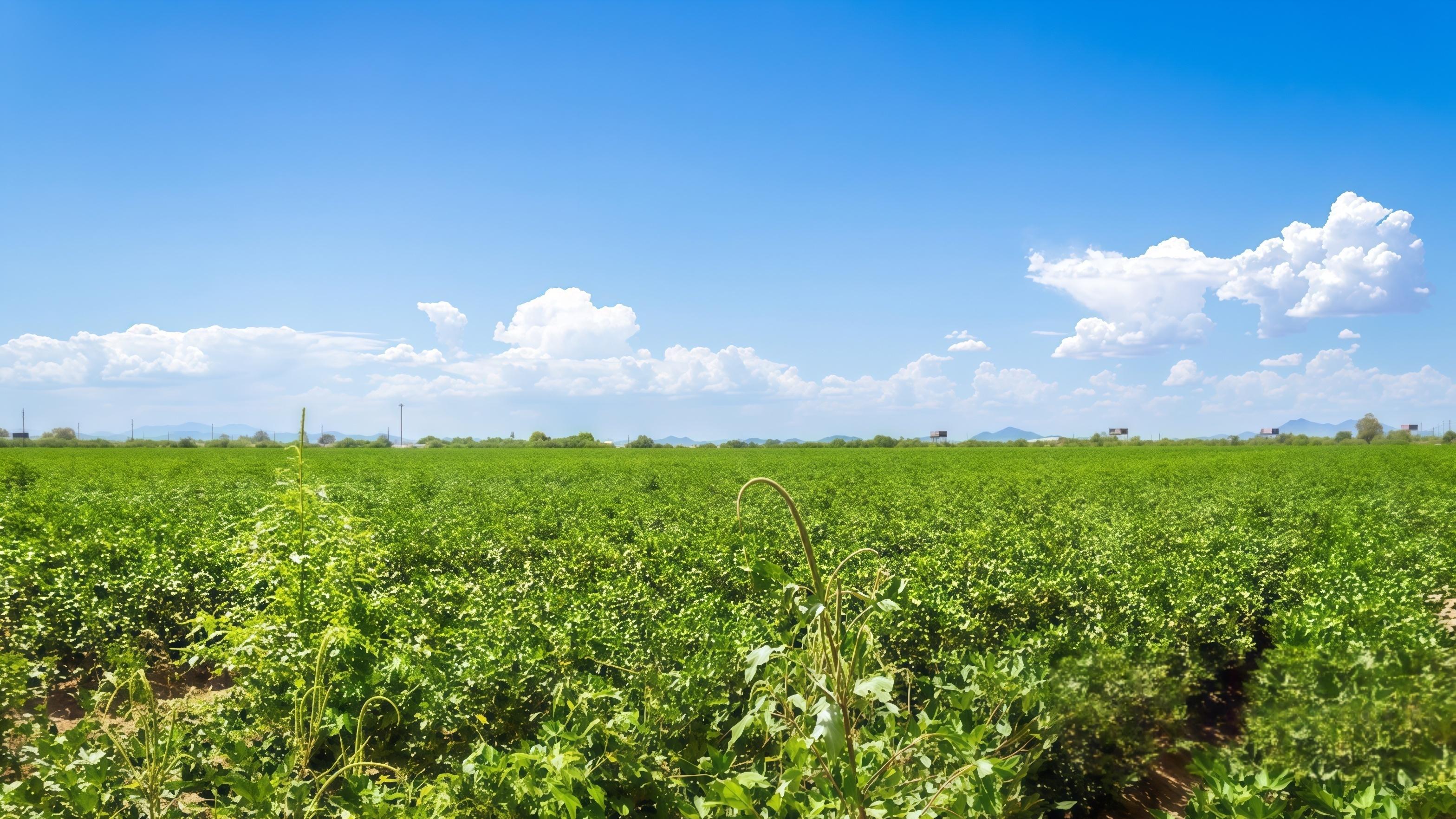 太空种菜，离饭桌并不远