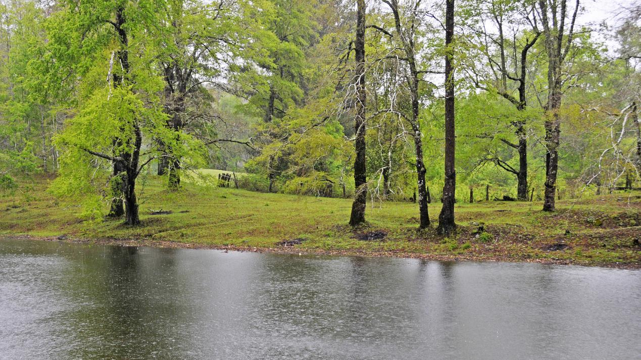 我对奶奶说：“小孩力做力在。”