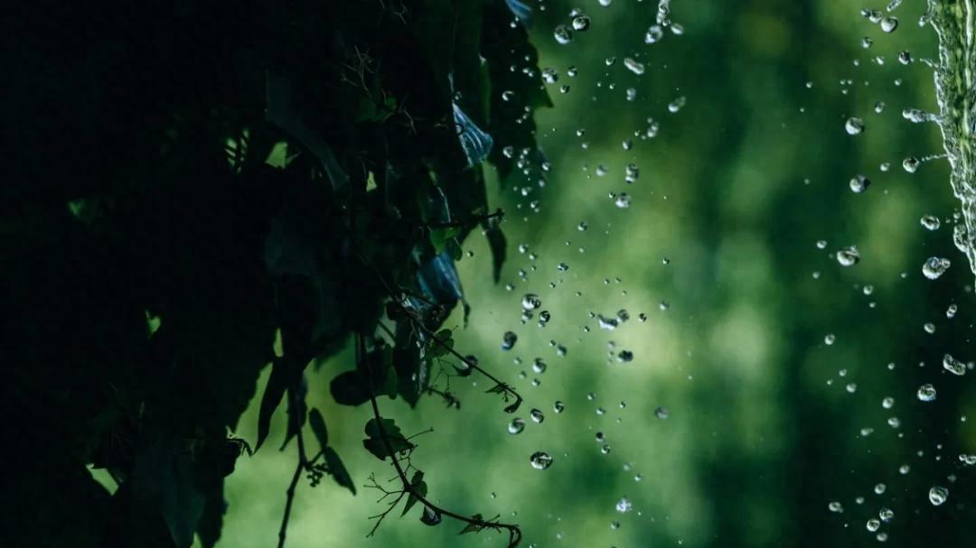 作出抉择的那一天