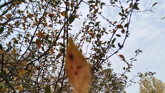 青春期眼高手低的孩子容易厌学，不是缺学习能力，而是认知有问题