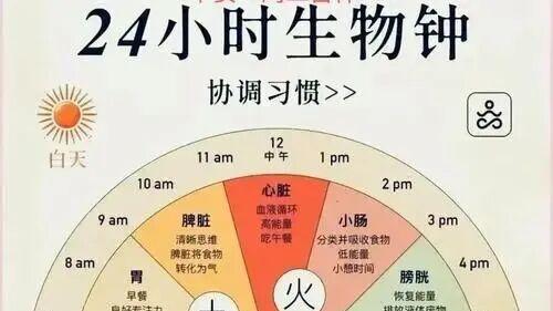 对照这张“尿酸-昼夜代谢节律表”，如果你的排酸高峰在夜里，需调整这2个习惯