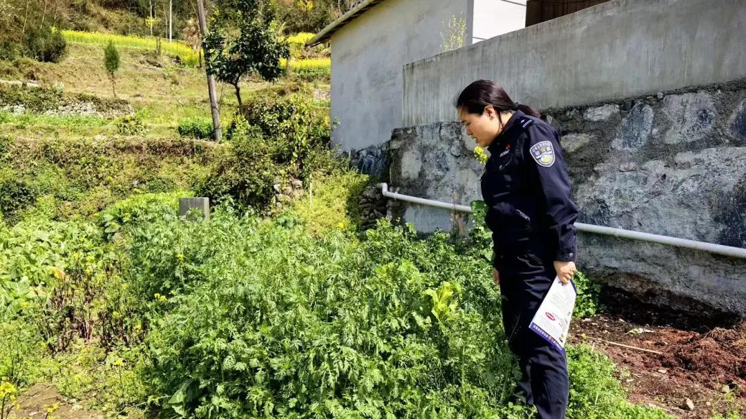 房前屋后、田间地头……三月里，民警带着“天眼”去了这些地方