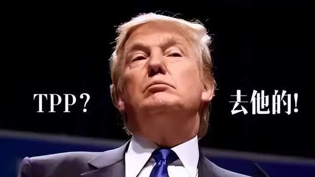 一口气“退群”66个，特朗普好任性，美国好霸道