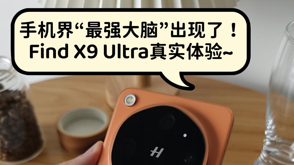 「最强大脑」无疑了！