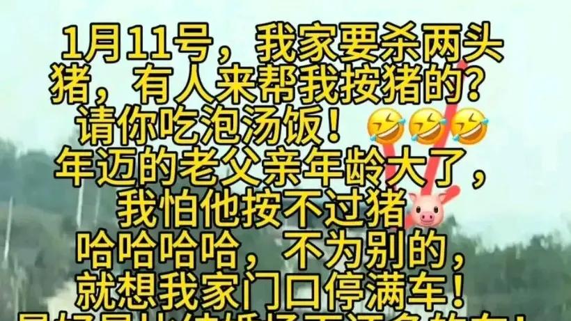 “呆呆杀年猪”：一场乡土人情的集体奔赴