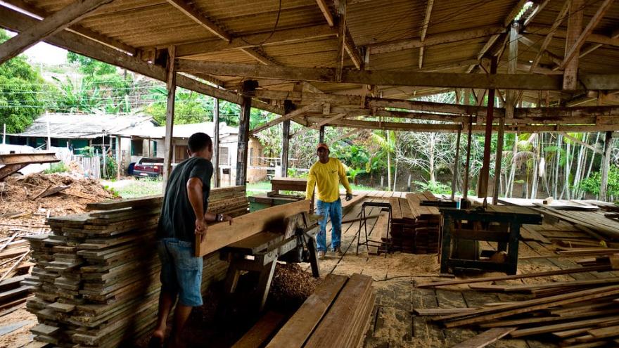 印度尼西亚：木材出口显著萎缩，收入投资双跳水！