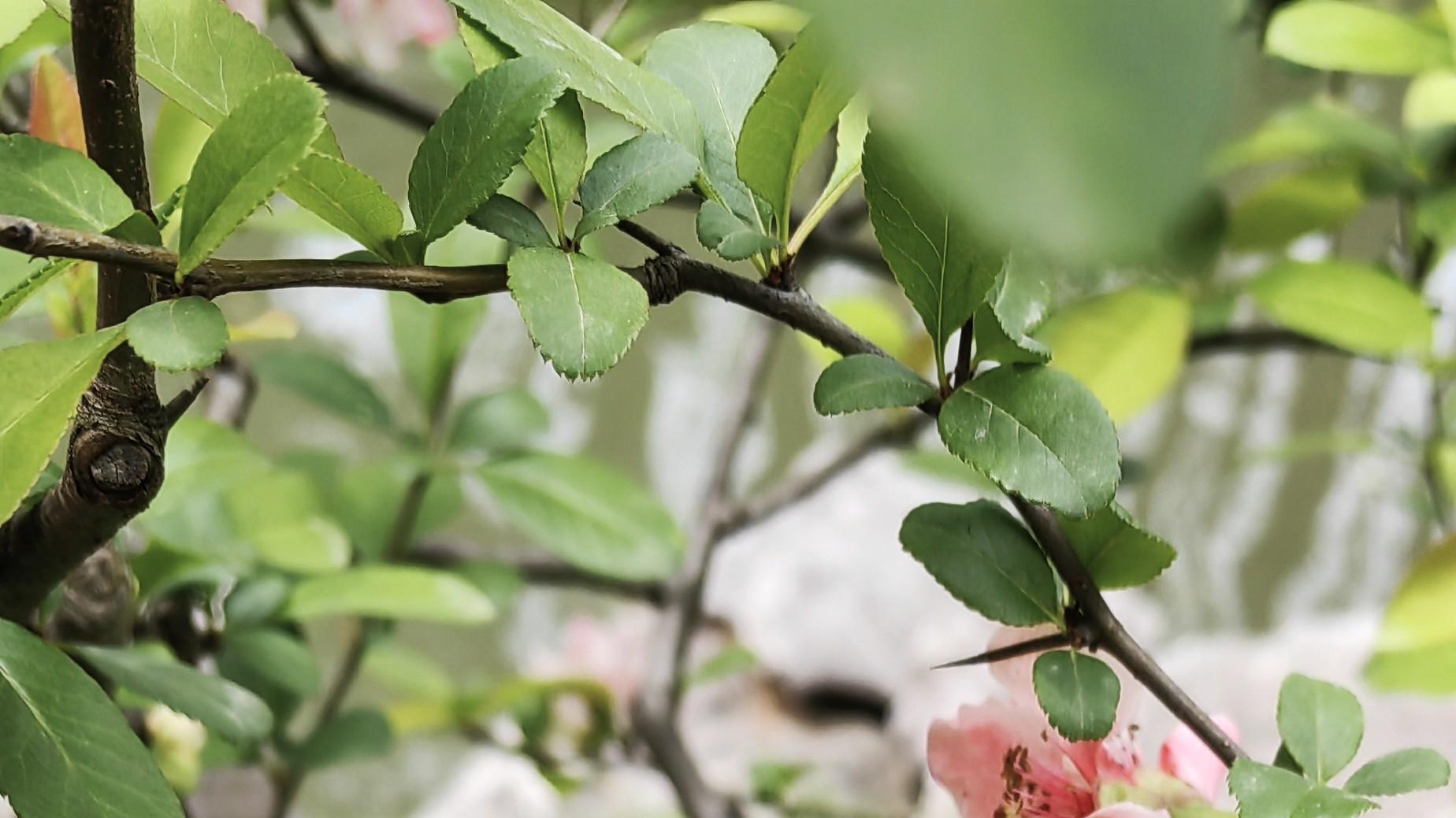 先干（gàn）为敬：想太多，不如做一点