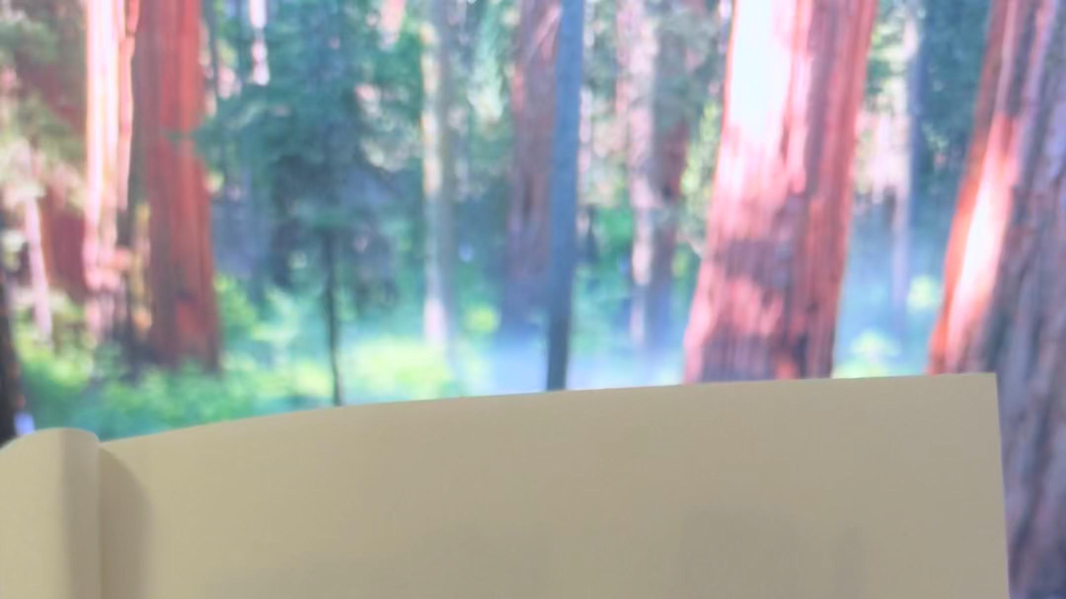 真正的勇气不是没有恐惧，而是在恐惧面前依然选择前行