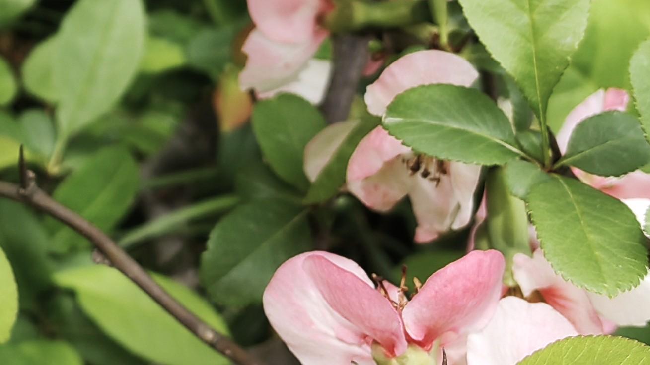 人在职场：困难是个相对值