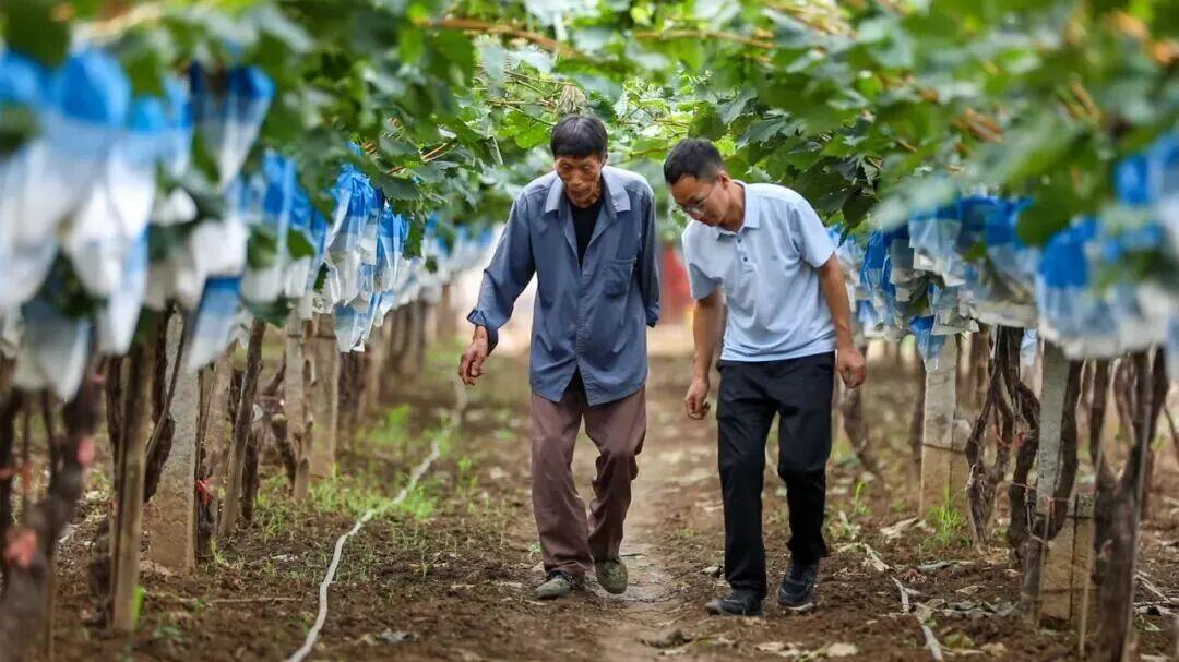 南开大学学风好不好？“允公允能”新注脚：从实验室到田埂的答卷