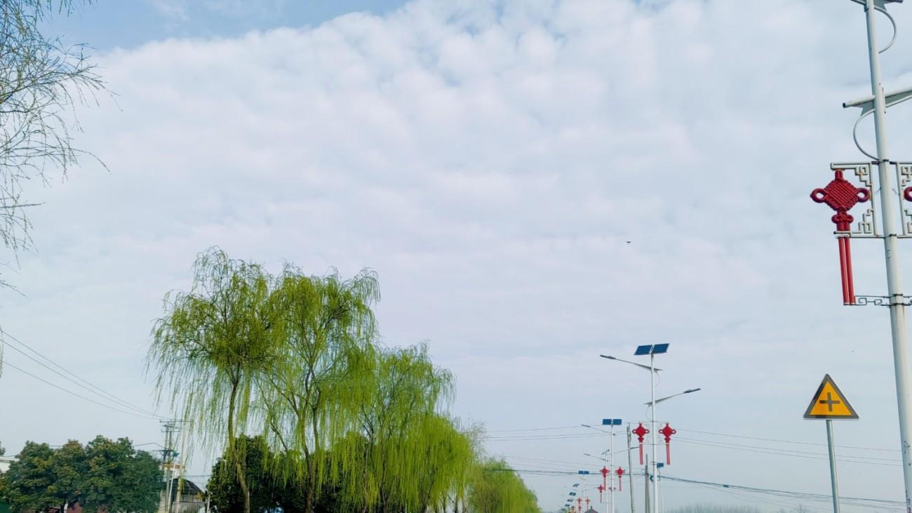 春渡：一域清欢涤尘霜