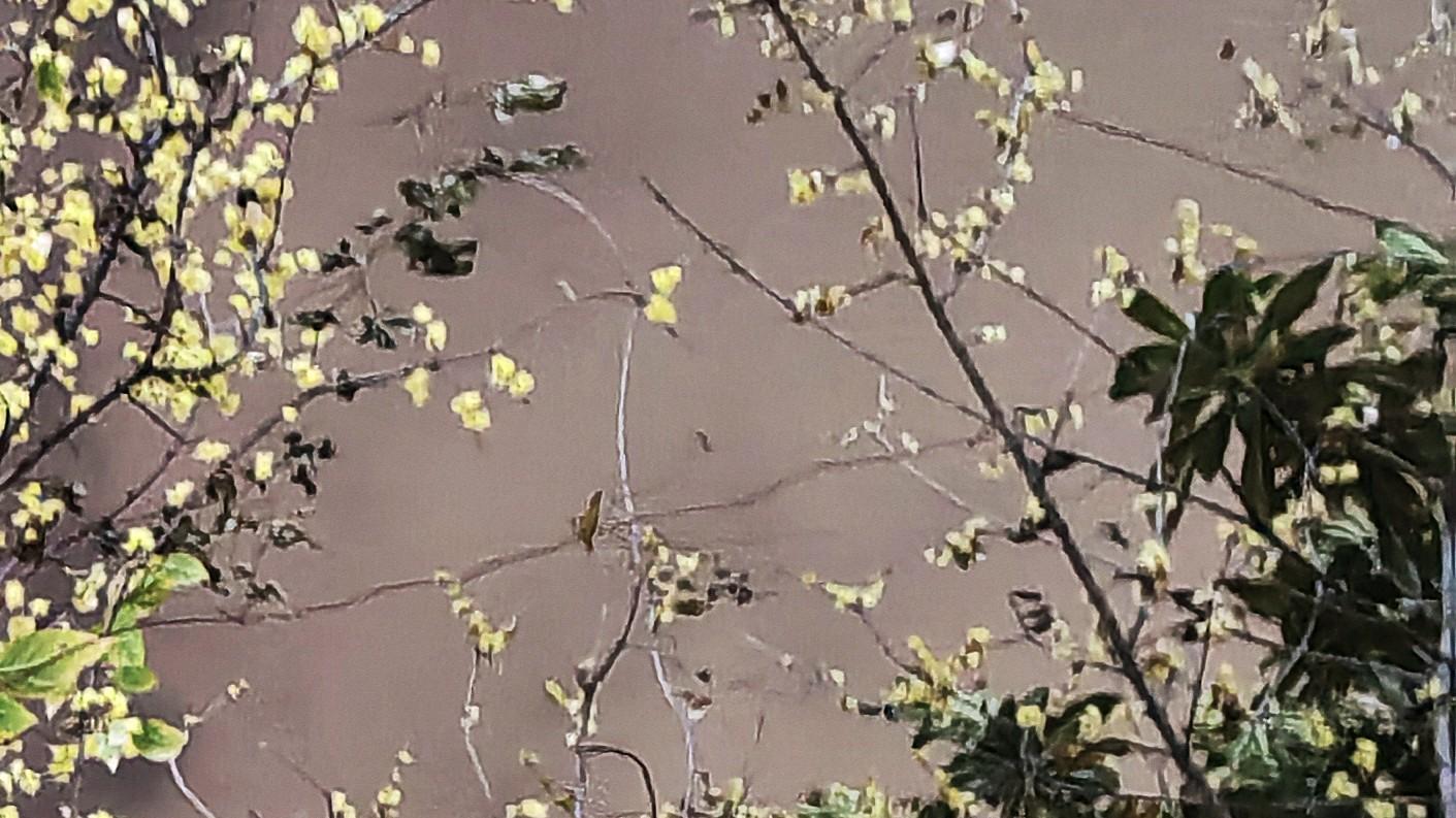 职场真相：啥都好好好，谨慎打交道