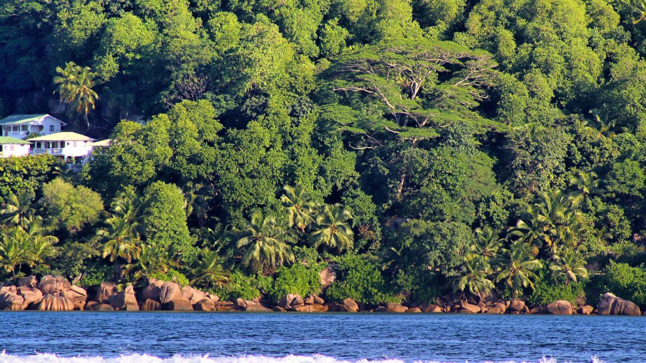 8个说走就走的海岛，拯救你的情人节计划！