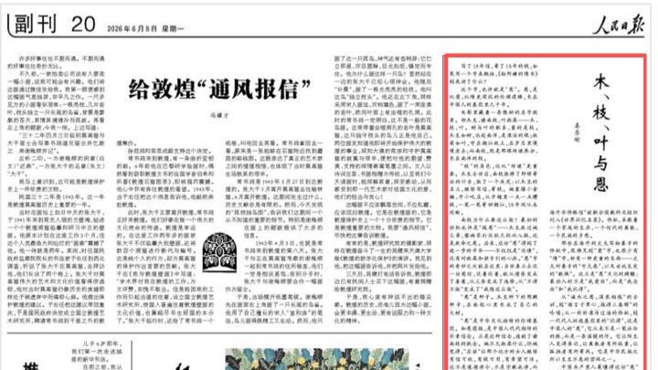 木、枝、叶与恩