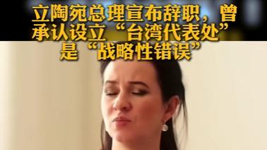 总理仓促下台！立陶宛为当年付出多大代价？