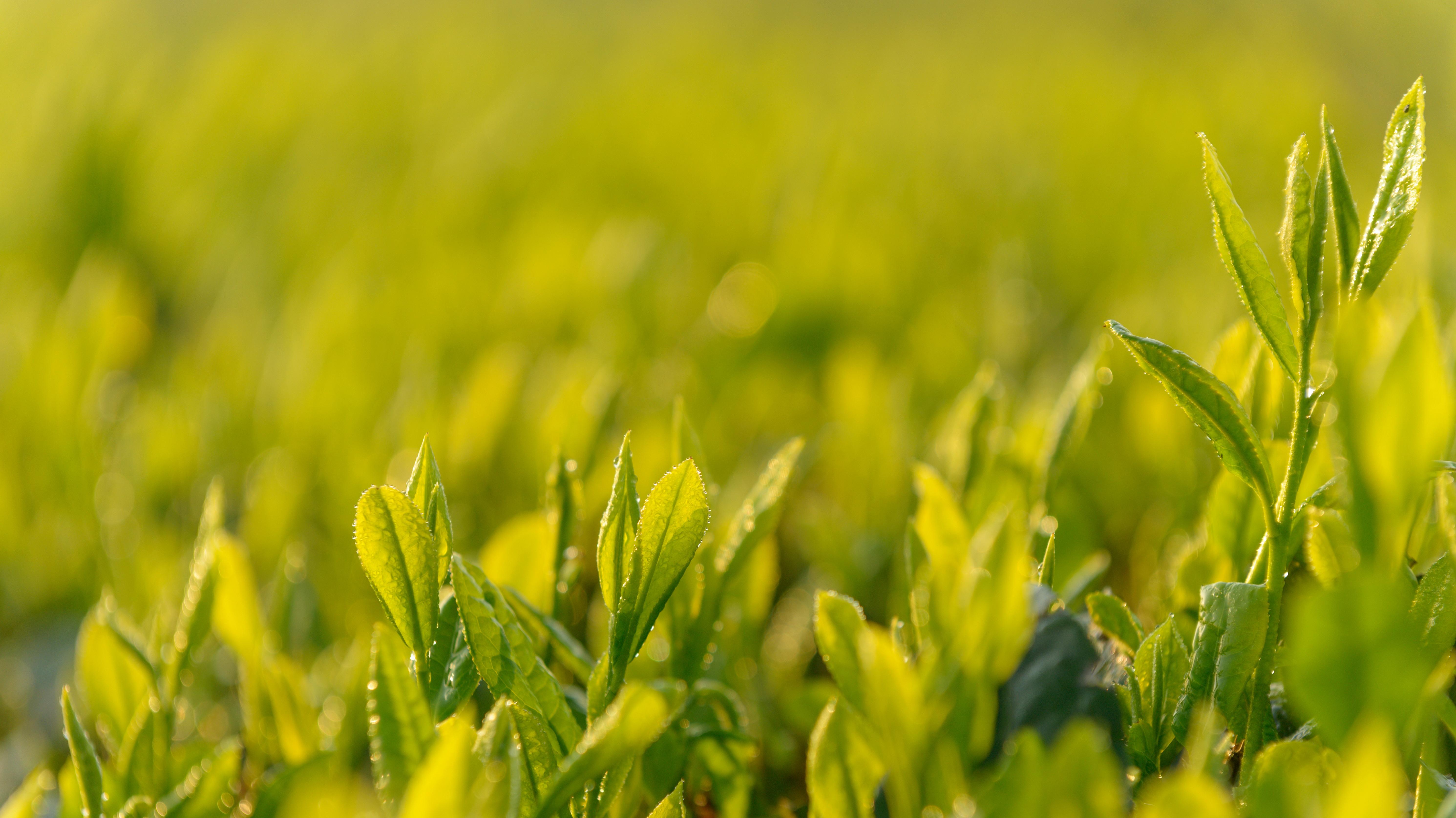 先救人，别问钱：这次北京把顺序彻底改对了