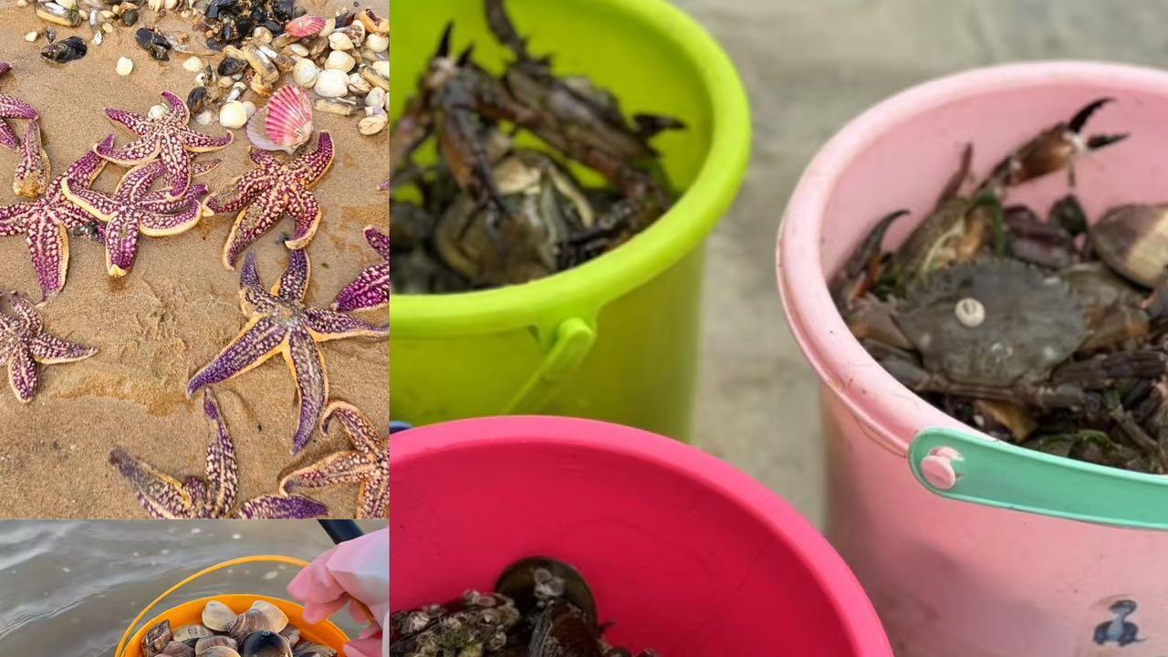 3刷威海景点，旅行必收藏的赶海宝藏地