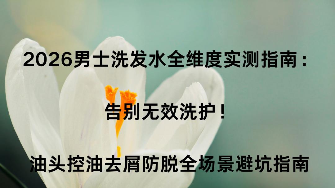 2026男士洗发水全维度实测指南：告别无效洗护！油头控油去屑防脱全场景避坑指南