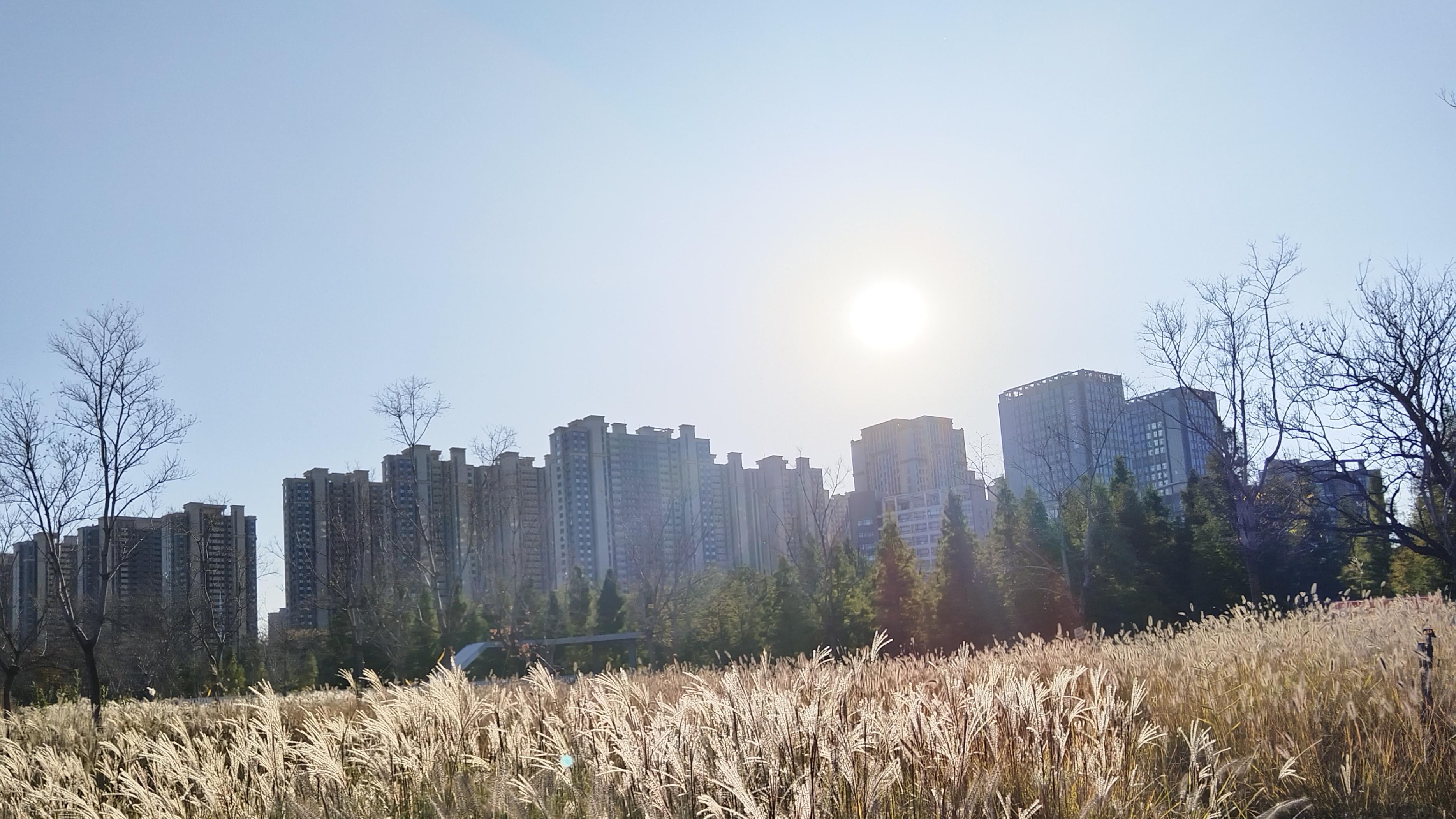 孩子不想上学，厌学、躺平！不是懒，是学习动力枯竭和心理能量弱