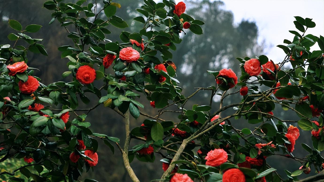 松江又多一个打卡好去处！