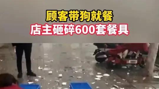 看到带狗进入餐厅，是否应当举报？