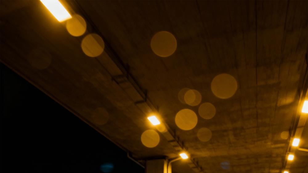 冬季冰雪出行，为何他们都选择了领克03性能家族？