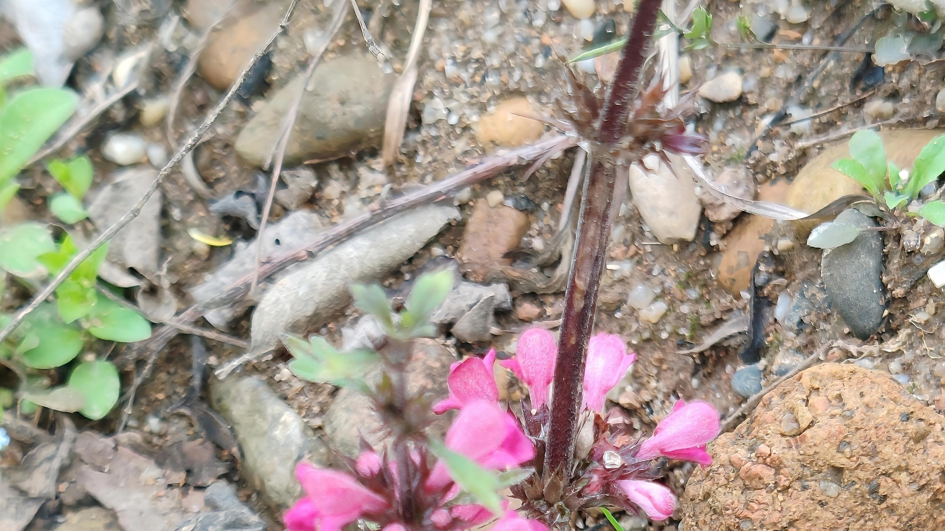 让温暖不平淡 让关怀有锋芒