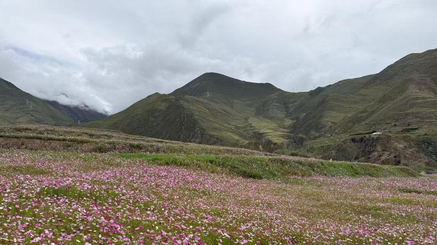 FCC认证全解析：定义、核心要求与必做产品清单