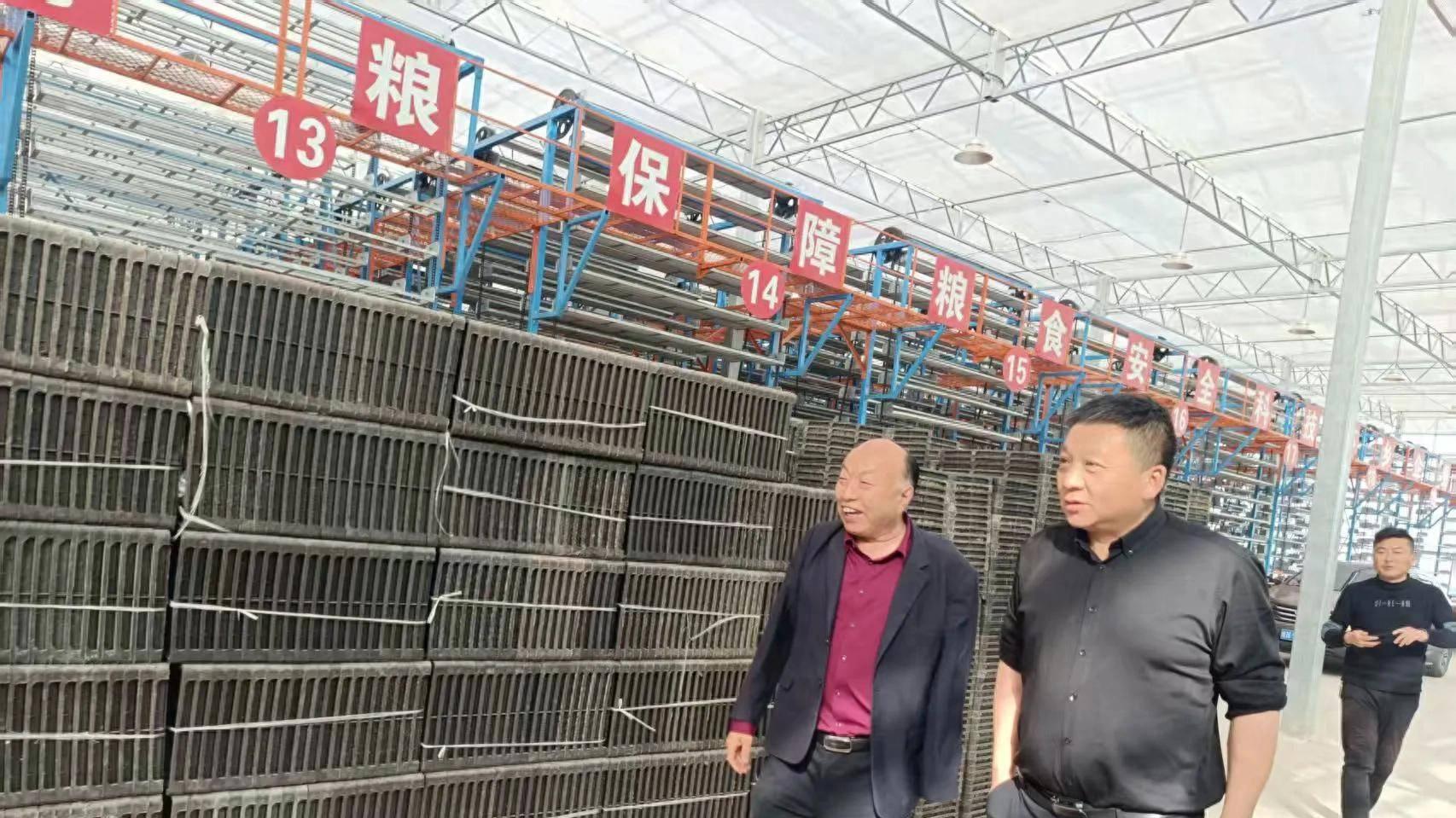 蘑菇大王丁伦保到六安市金安区木厂镇扬春农业科技有限公司指导