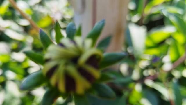 从熬夜玩手机到寒假不碰手机，我做对3件事后，孩子手机瘾戒掉了