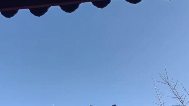 瓯江中游这座小岛，藏着温州最厚重的文脉