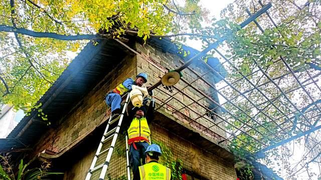 3小时擒贼、2小时追赃，桂林这个“雪亮工程”织密“平安无影灯”