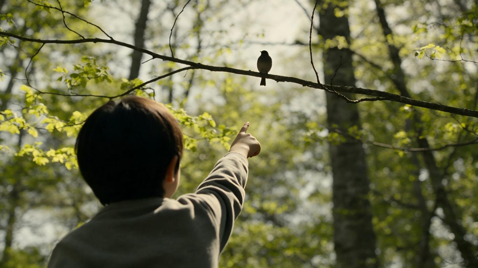 《寂静的春天》出版62年后，中国家庭正用脚步重写自然答案