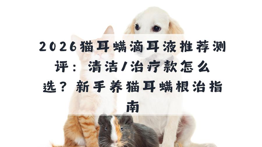 2026猫耳螨滴耳液推荐测评：清洁/治疗款怎么选？新手养猫耳螨根治指南