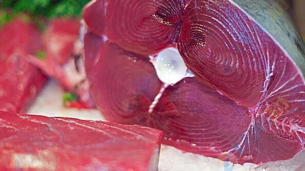 测色仪操作指南｜用MiniScan EZ精准测量牛排、鱼片和肉饼