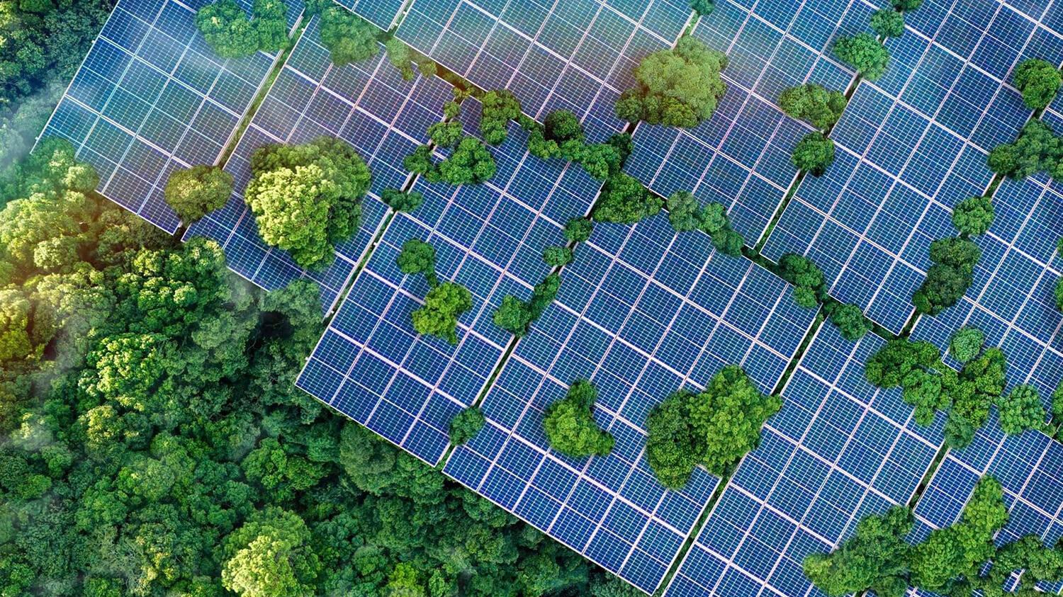 “AI+光储一体化第一股”思格新能源，光储圈的“OpenAI”来了！