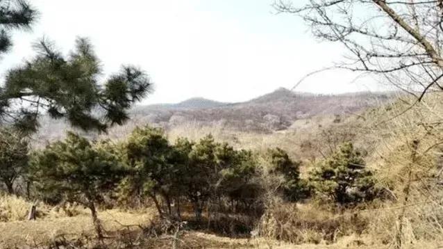 1997年韩国富商雇人盗走中国古墓壁画！拒不归还竟拍电影洗白！三人被判死刑！