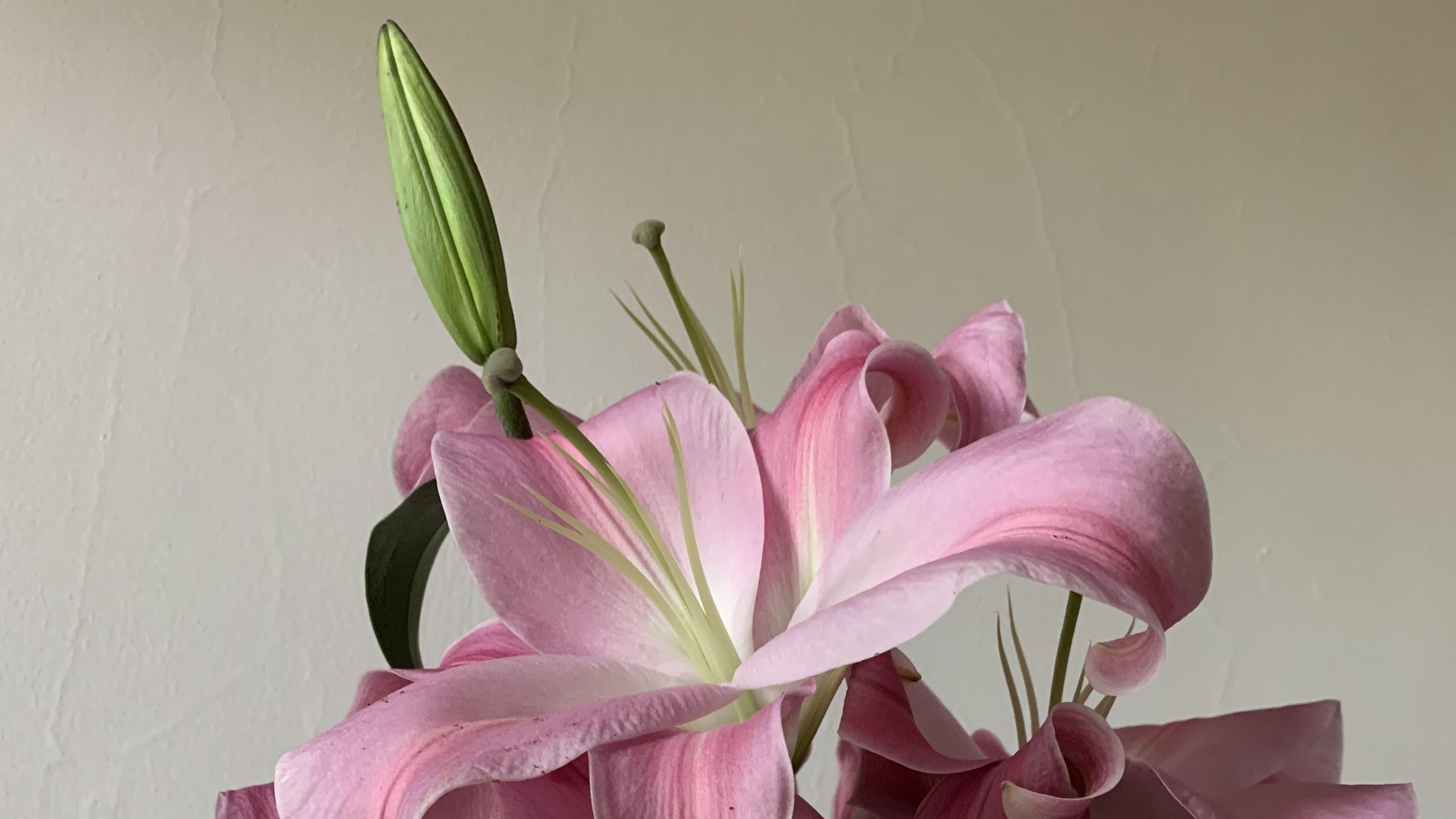 大门方位与适合颜色