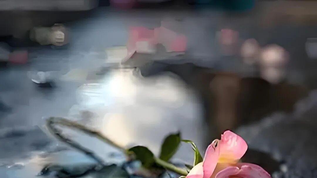 七律·春风梦绕情殇赋