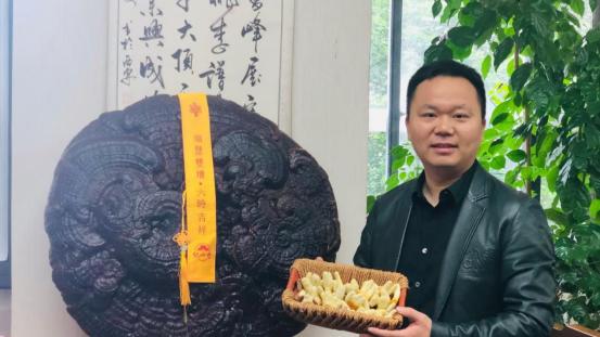 扎根深山三十载 匠心培育椴木灵芝 ——探访根芝林创始人周根林