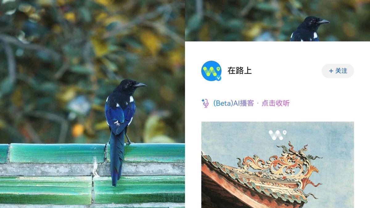 夯爆了！华为Pura新品自带浏览器AI播客效果神似真人主播