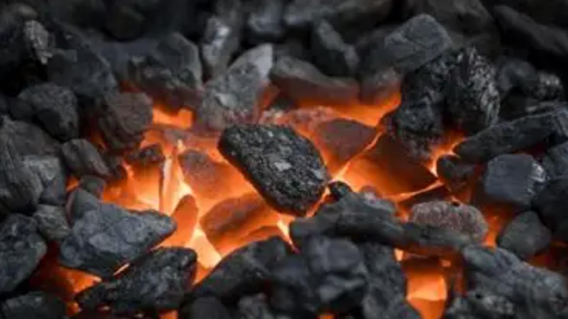 煤炭2026：周期股变身“现金牛”？