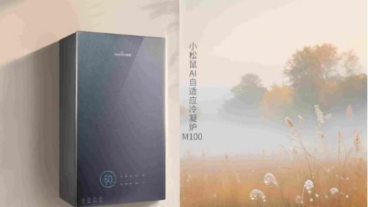 同样家用壁挂炉，他家气费省一半？只因做他做好了壁挂炉保养