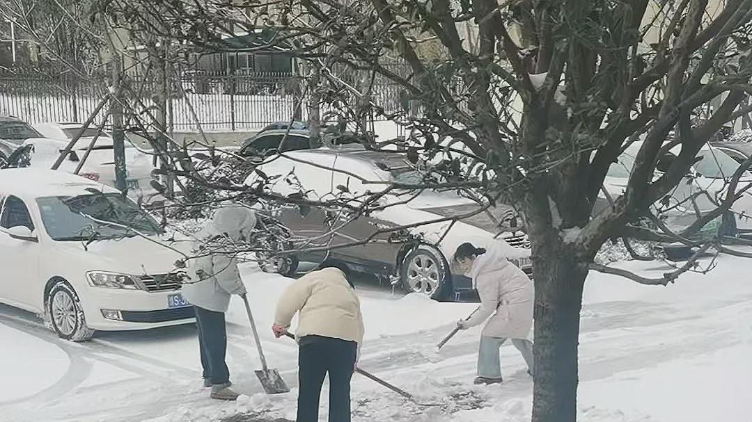 以雪为令，闻雪而动！华英农业各单位及时铲冰除雪保畅通