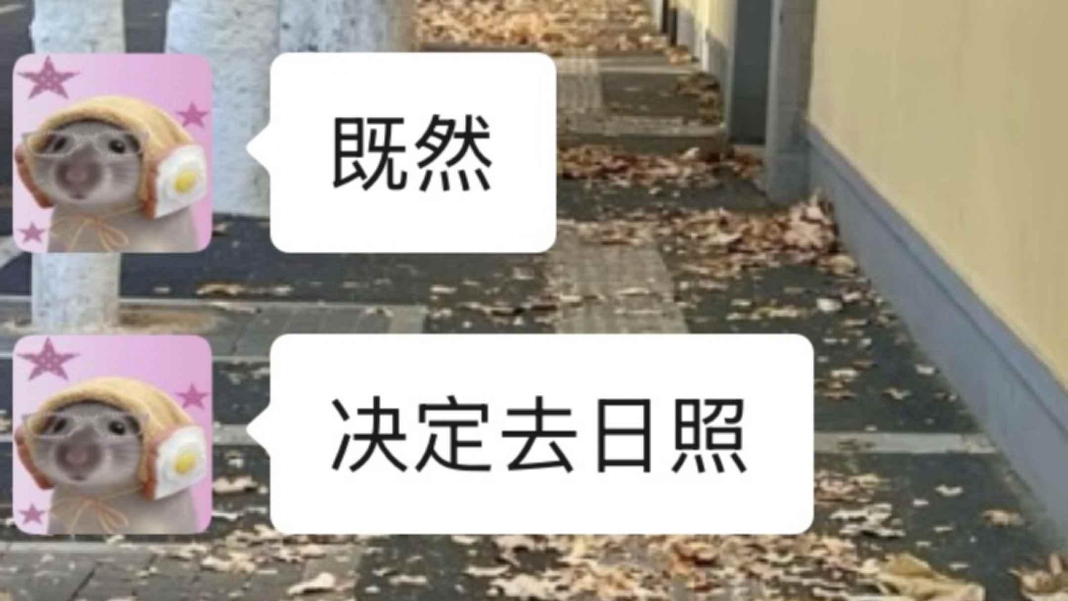 不用找了，日照攻略看这篇就够了