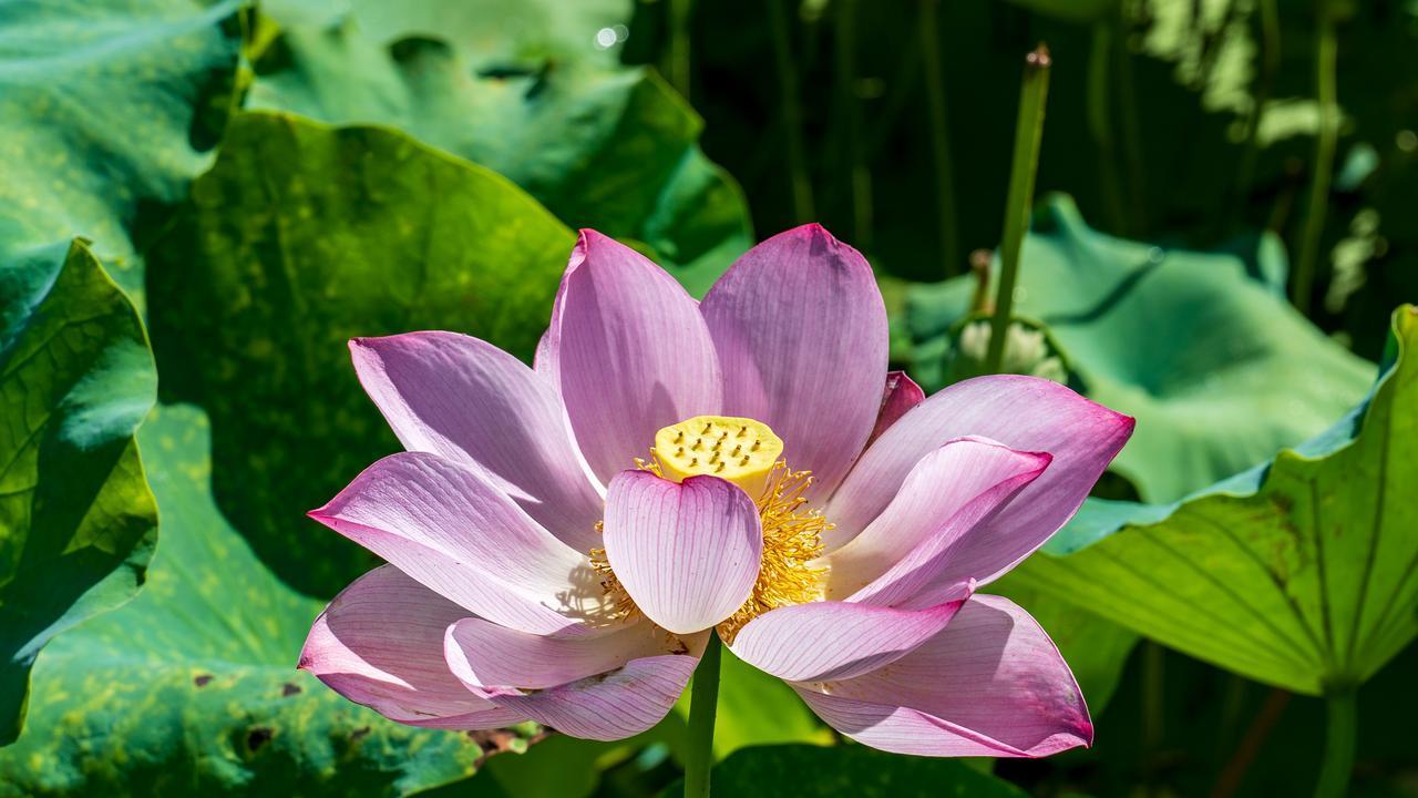 你很想念一个人，他却不联系你，做到这4点，他会主动找你