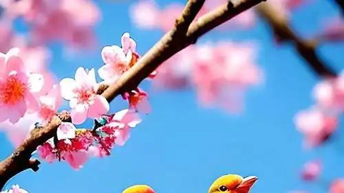 表达欲望是说话的基础