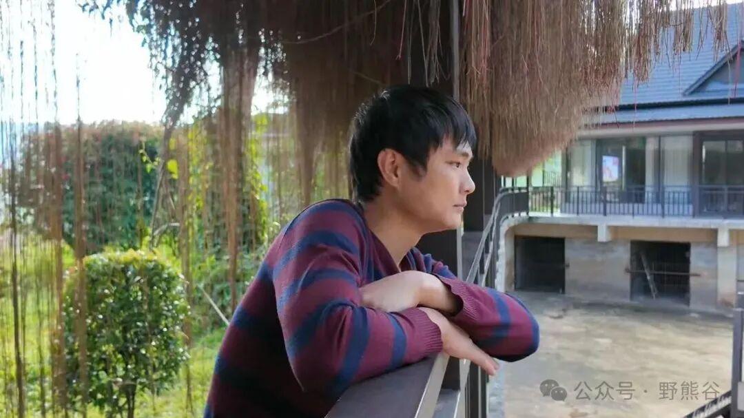 守山人日记：与熊的“安全距离”，一场关于边界的静默对话