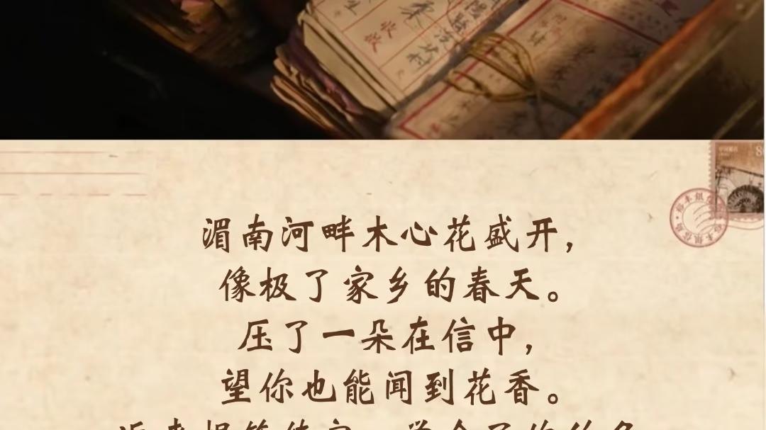 《我的大观园》还有必要巡演吗？